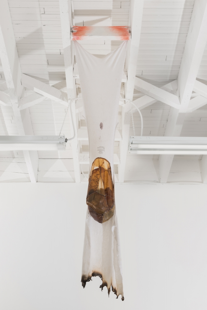 Catalina Ouyang
yoke of thyself, 2019
white ribbed tank, tattoo ink, blood, symbiotic colonies of bacteria and yeast, stones 48 x 16 x 12 in (121.9 x 40.6 x 30.5 cm)
CO002
