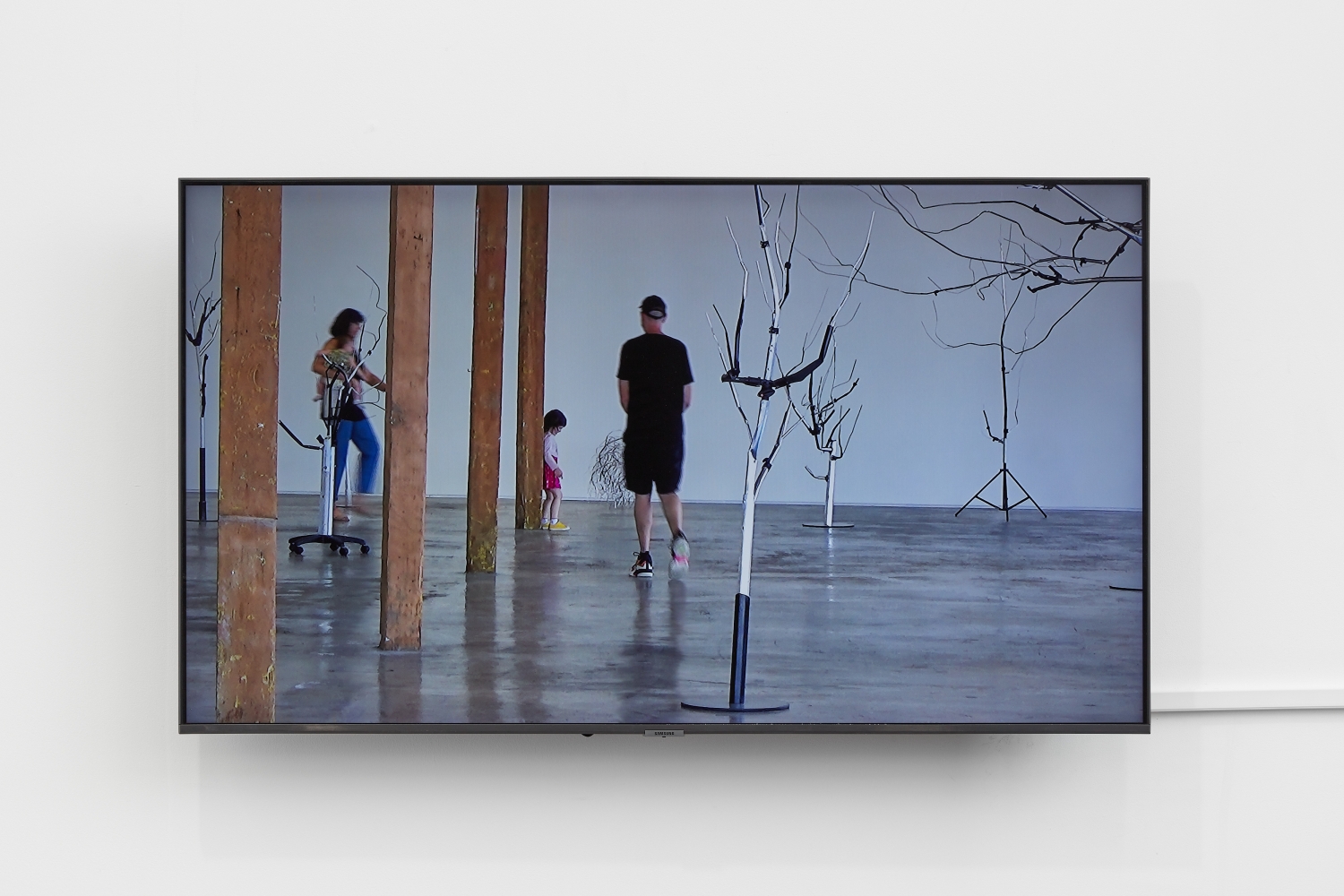 Josh Callaghan, Interior Landscape (live feed), 2022