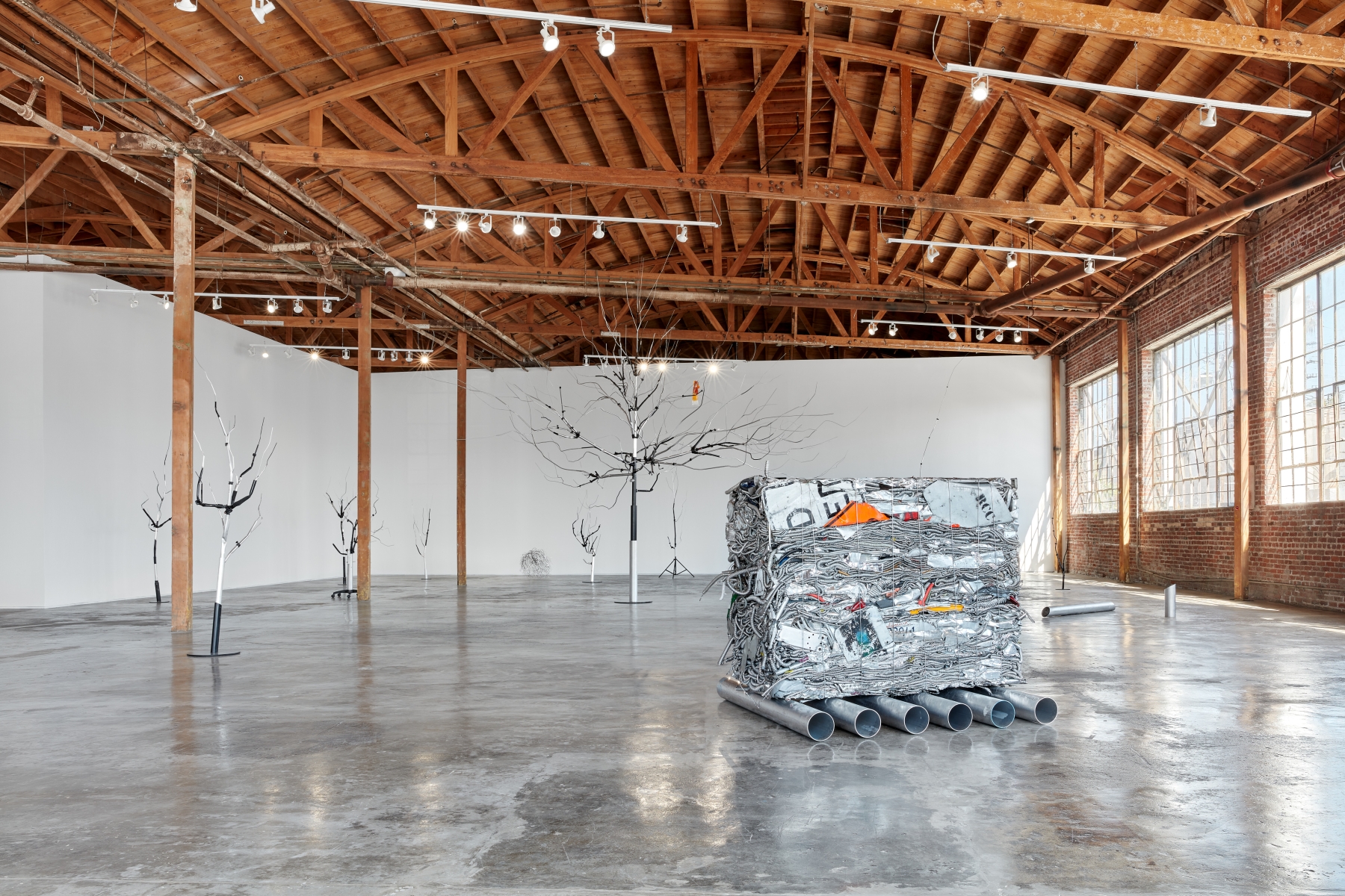 Josh Callaghan, Family Tree, installation view, 2022