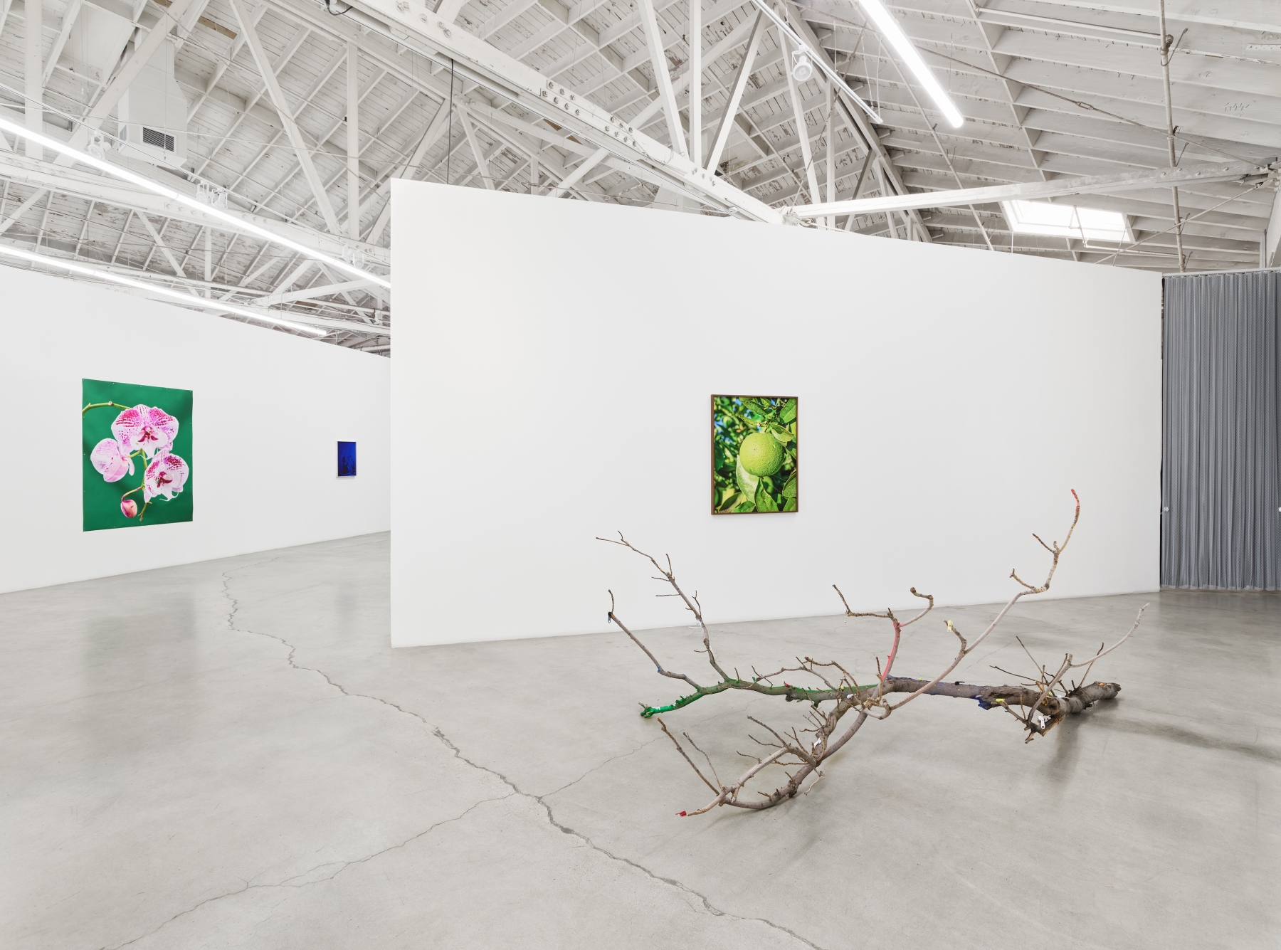 Awol Erizku,&nbsp;Scorched Earth, installation view, 2021