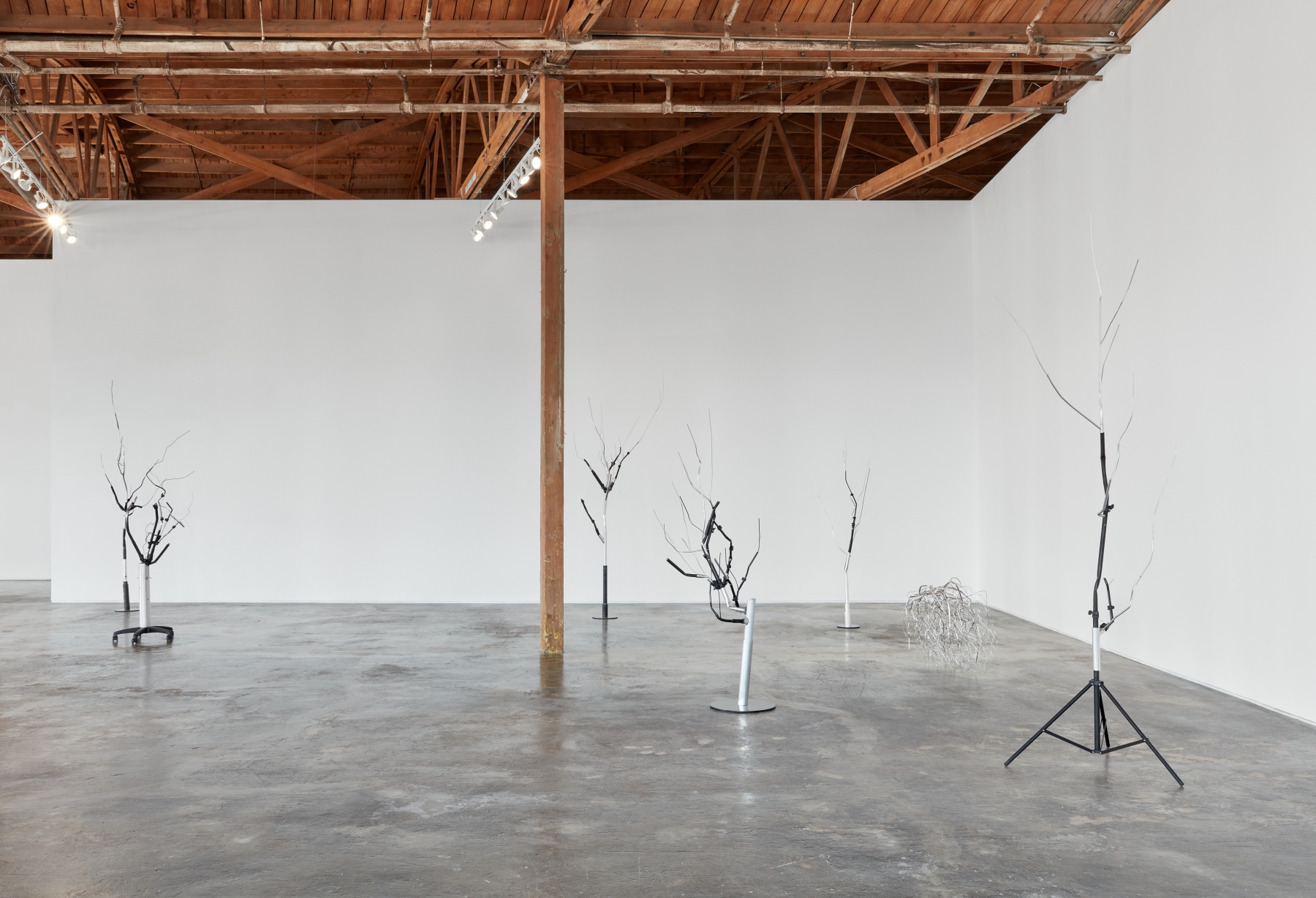 Josh Callaghan, Family Tree, installation view, 2022
