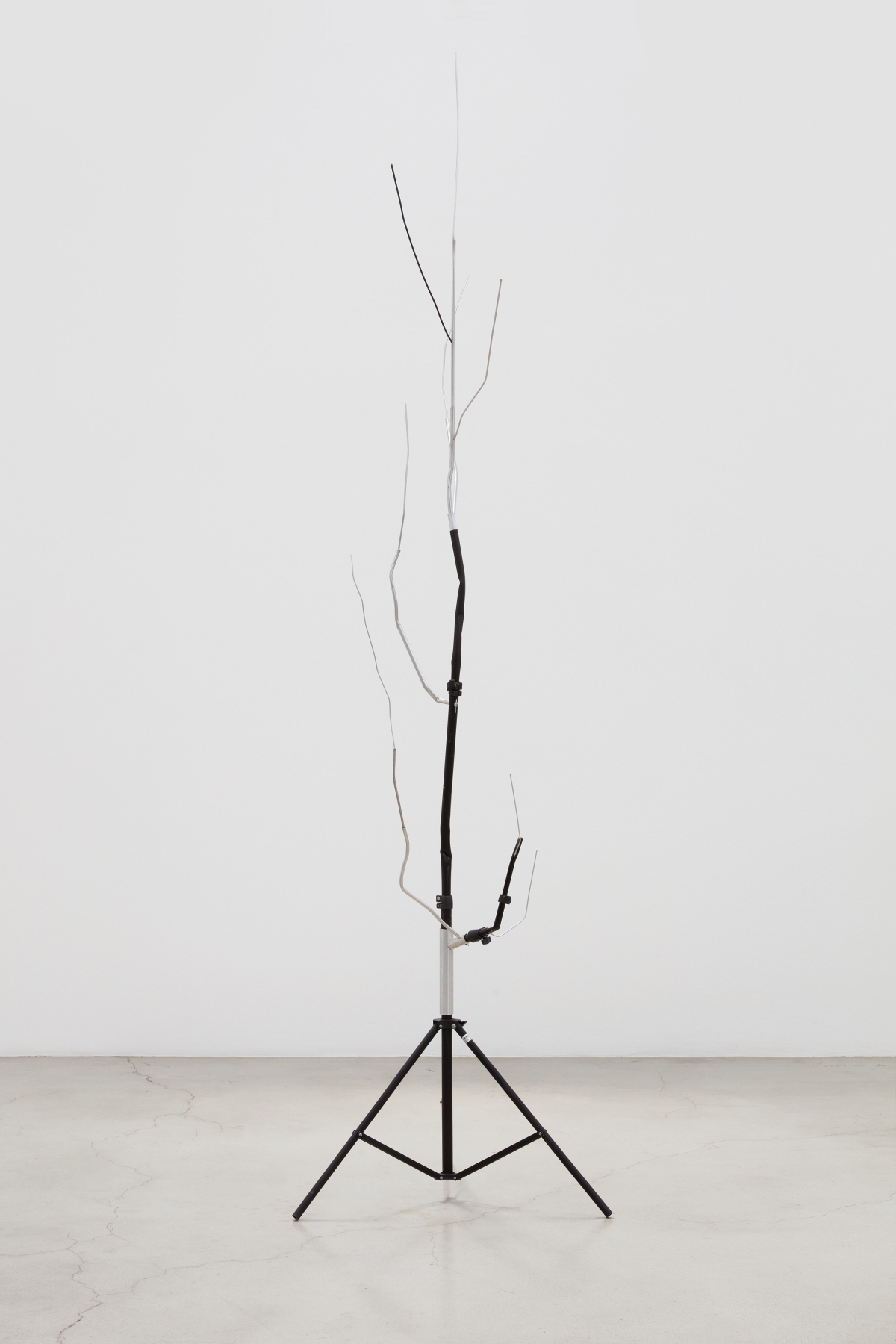 Josh Callaghan, Sprouted Light Stand II, 2022