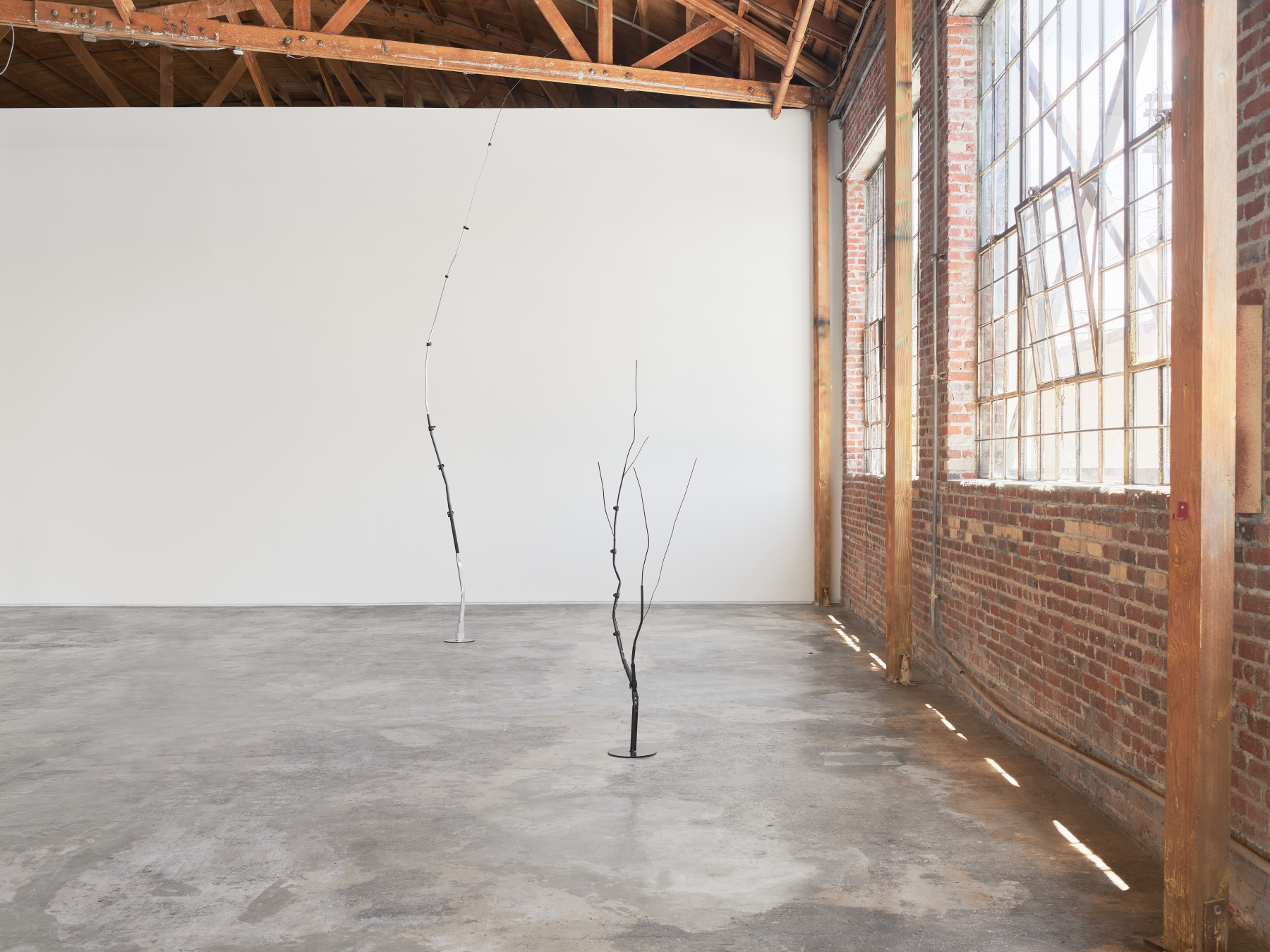 Josh Callaghan, Family Tree, installation view, 2022