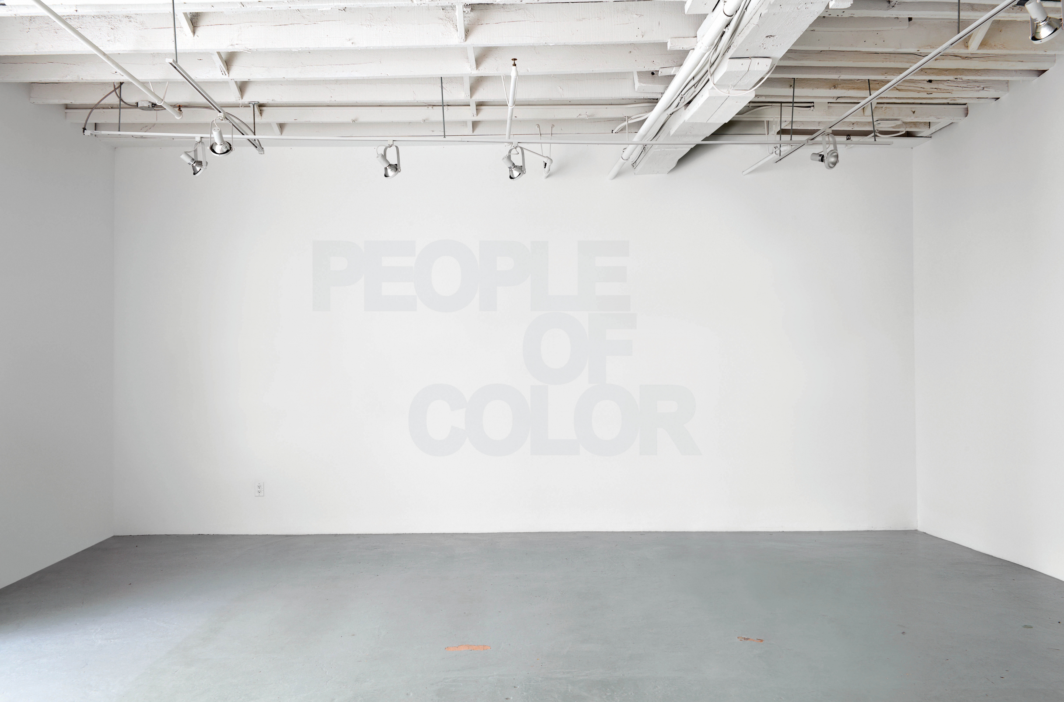 Divya Mehra,&nbsp;Currently Fashionable, 2012/2017.&nbsp;
Installation view&nbsp;at Georgia Scherman Projects, Toronto, Canada for the solo exhibition
You have to tell Them, i&rsquo;m not a Racist.
Photo by Paul Jerinkitsch.