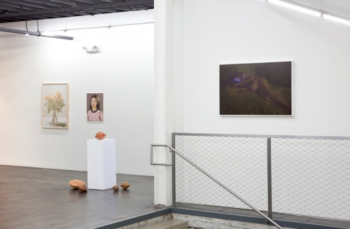 Installation view, Flowers in Your Hair, FUSED, 2016.