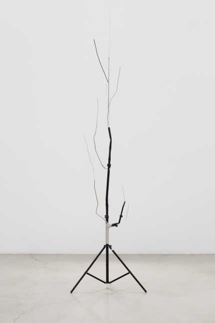 Josh Callaghan, Sprouted Light Stand II, 2022