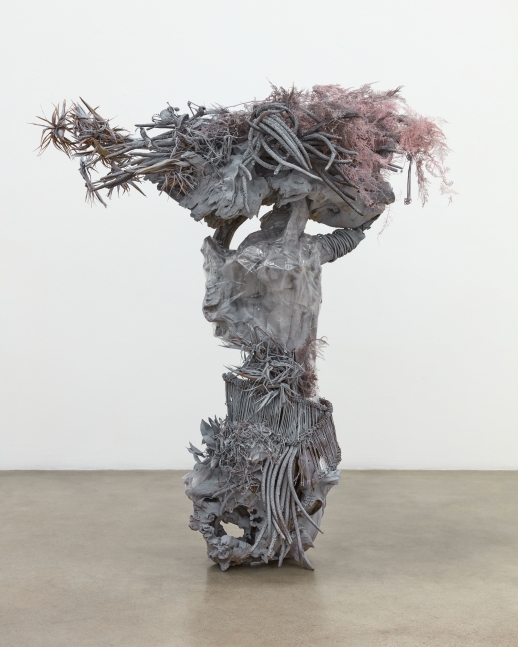 Tory J. Lowitz
CHUD 2, 2021
Chinese Rootwood, Burl Wood, Metal Fencing, Stucco, Enamel, Cellophane, Strelitzia, Milkweed, Tillandsia, Cable, Polymers
63 x 56 x 38 in (160 x 142.2 x 96.5 cm)
TJL002