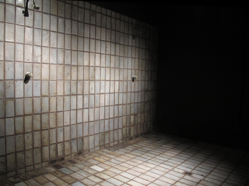 "Group Shower," Installation view, 2012