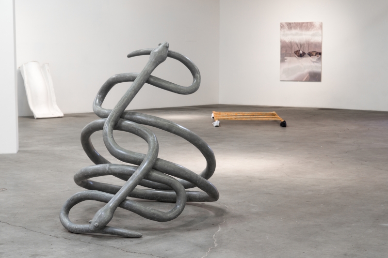 Kathleen Ryan, "More is More Snake Ring," installation view in ck1 daily, 2014.