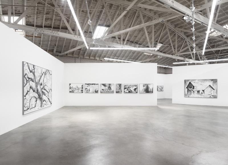 Cynthia Daignault, Elegy, installation view at Night Gallery, 2019.
