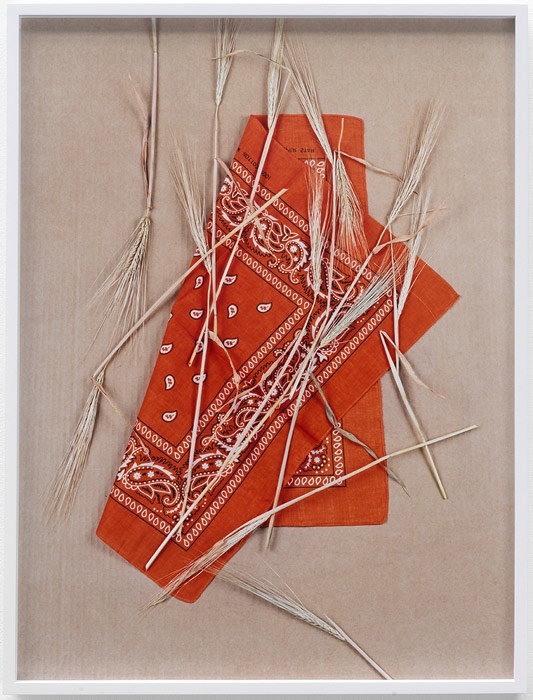 Annette Kelm, "Paisley and Wheat, Orange #1," 2013