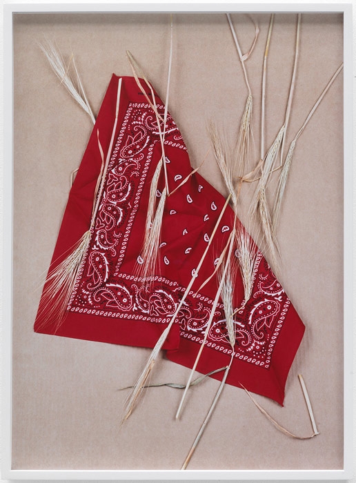 Annette Kelm, "Paisley and Wheat Red," 2013