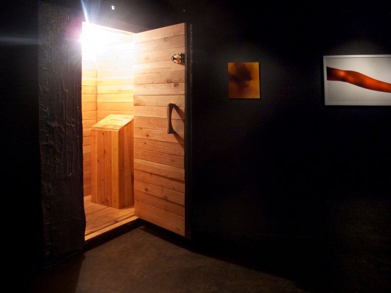 "Group Shower," Installation view, 2012
