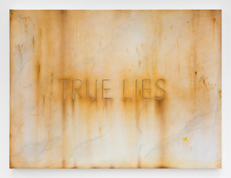 Sayre Gomez, "True Lies," 2017