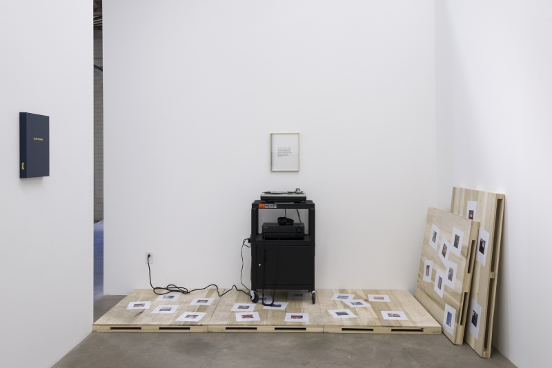 Keith J. Varadi, Free Wi-Fi, Comedy, installation view, 2016