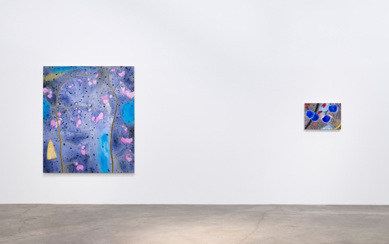 Blue Boy, Installation view at Night Gallery, 2019.