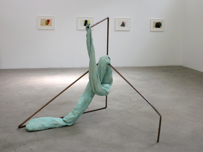 Jory Rabinovitz, "Tranzbindle," 2013, installation view in Culm, 2013