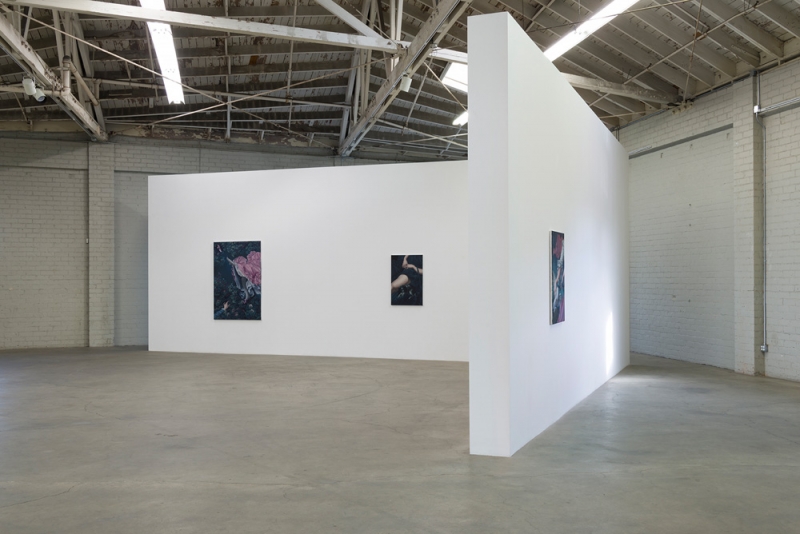 Jesse Mockrin, The Progress of Love​, installation view, 2016.