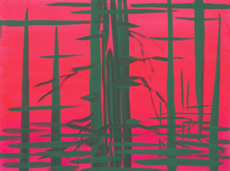 "Deep Bay (Brilliant pink - green reflection)," 2007