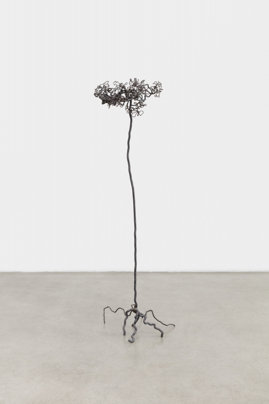 Beatriz Cortez, "Roots 6," 2021