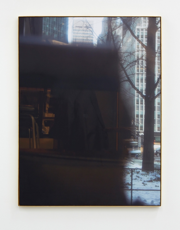"Seagrams (Camera)," 2015