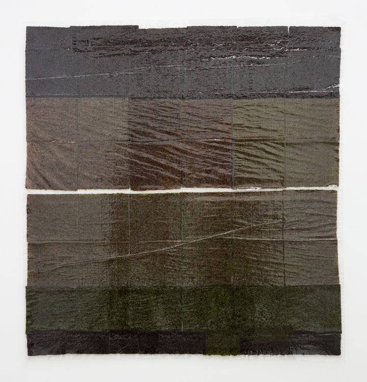 Anne Libby, "Lily Lamellar", 2015, seaweed, laminate, plexiglass