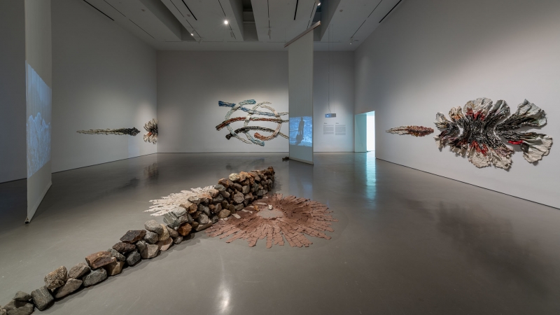 Brie Ruais: Movement at the Edge of the Land, installation view, Moody Center for the Arts, Houston, TX, 2021. Photo: Nash Baker