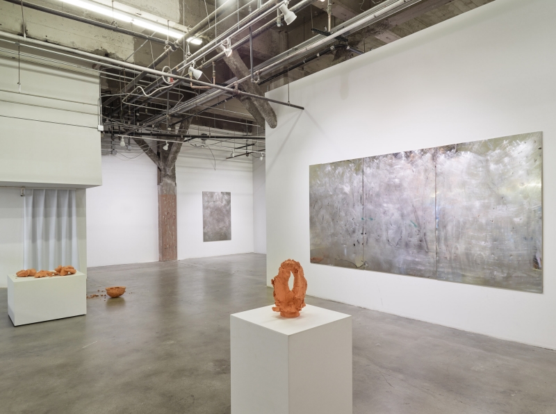 LIFEFORCE, installation view at Harmony Murphy Gallery, 2016