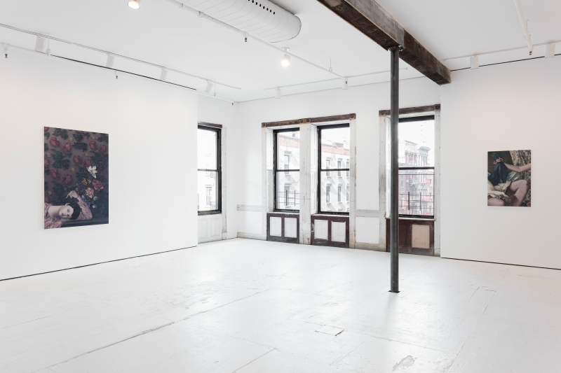 Pleasures of the Dance, installation view at Nathalie Karg, 2016