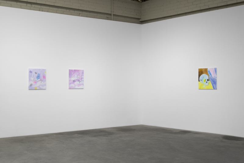 "I am the Sky," Installation view at Night Gallery, 2016